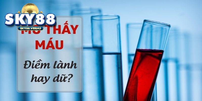 Mơ thấy máu đánh con gì để gặp may trong lô đề?